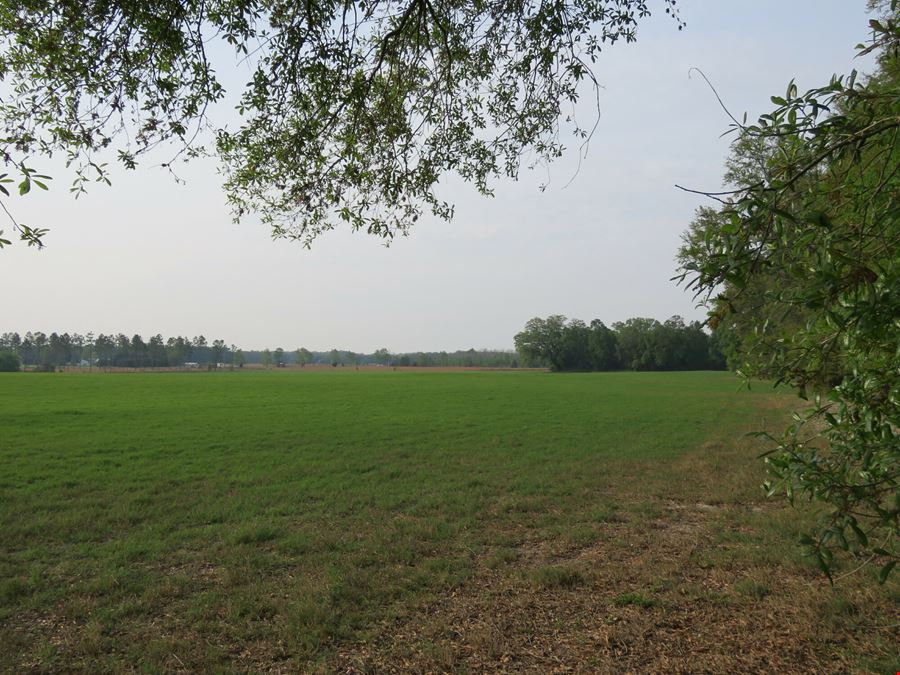 Suwannee County Farm