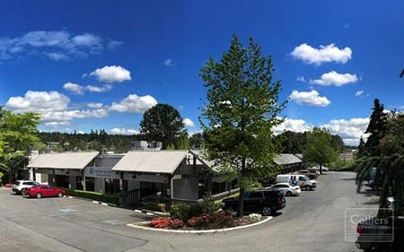 Preview of commercial space at 1600 & 1750 124th Ave NE
