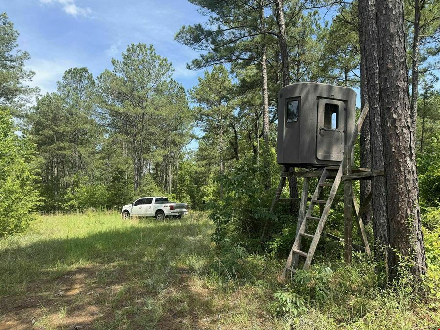 269 Cotton Hill Road
