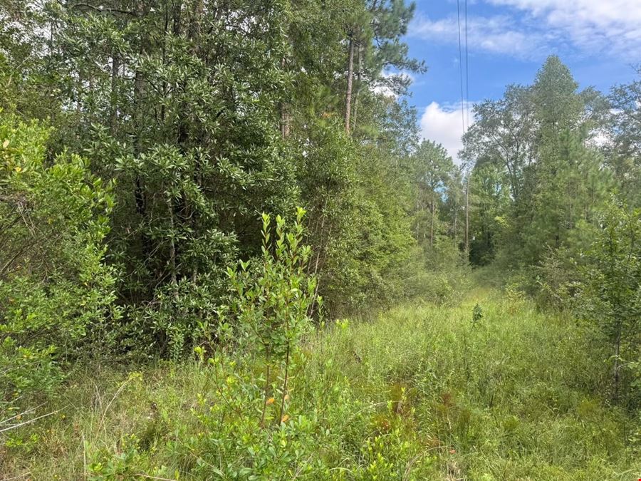 22290 Old Hwy 49