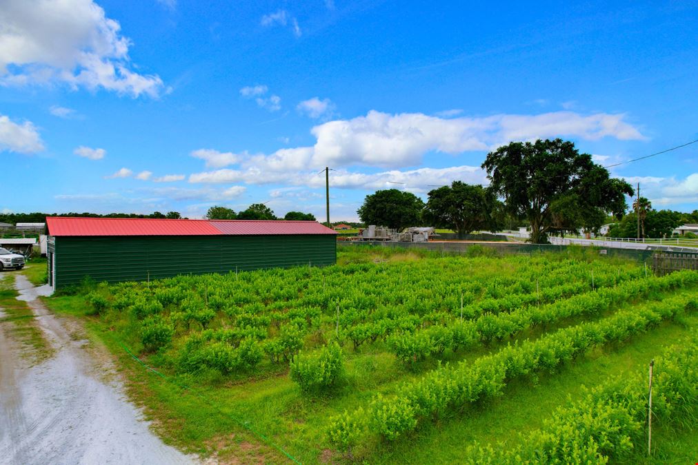 Organic Farm