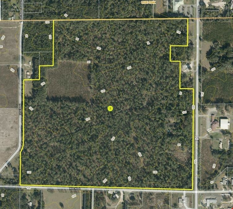 Live Oak 145 Acre Development Parcel