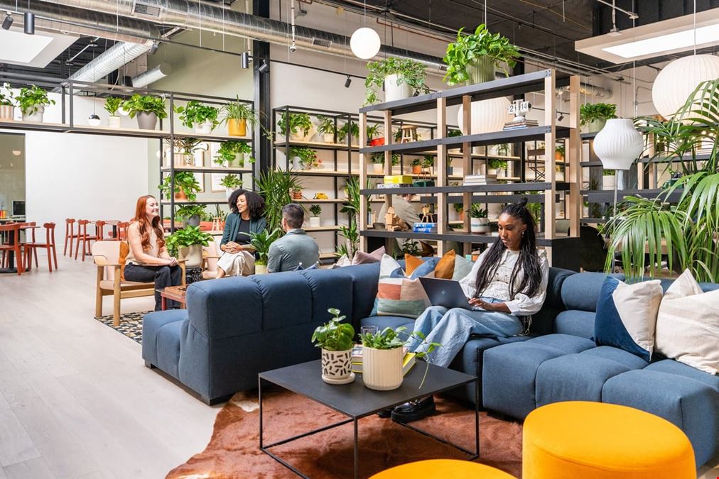 Kiln - Bozeman