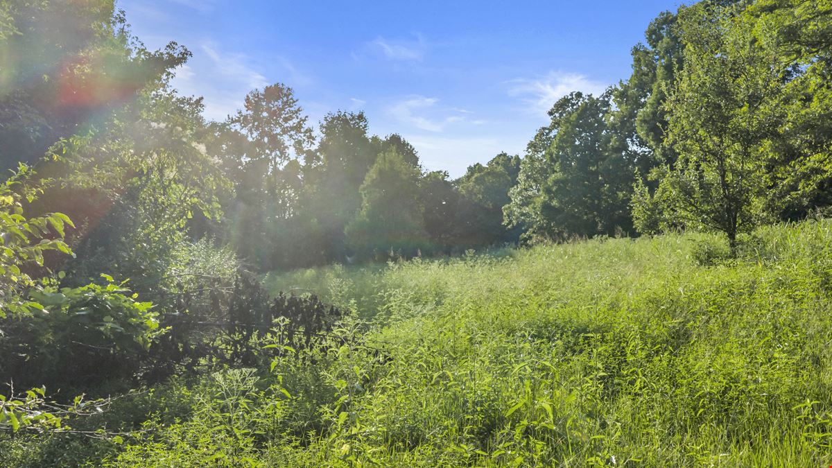 West Dempsey 339 Acres