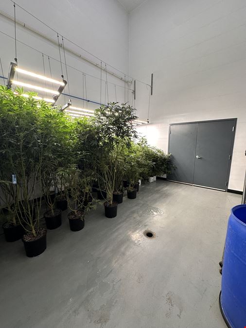 Burton - Former Operating/Turnkey Cultivation and Processing Facility