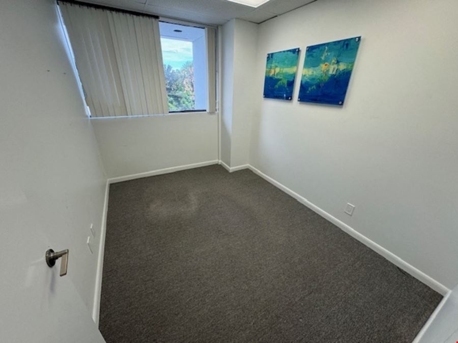 1697 SF Suite 207 Professional and Medical Office Space