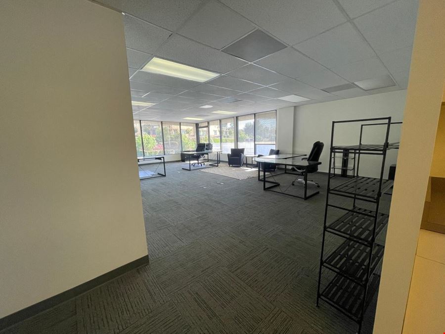 Mediterranea III |28720 Canwood St