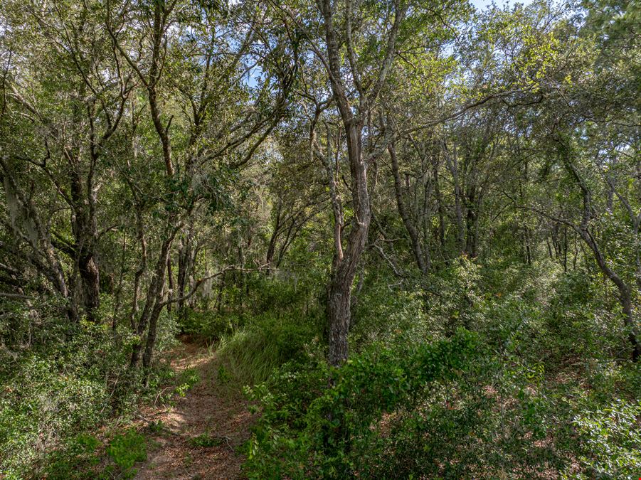 Floral City Recreation & Investment Property