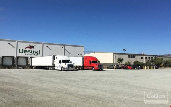 AGRICULTURAL  FOR LEASE AND SALE
