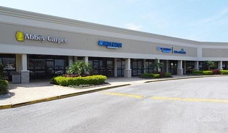 Preview of Retail space for Rent at 26210-26258 US Highway 19 N