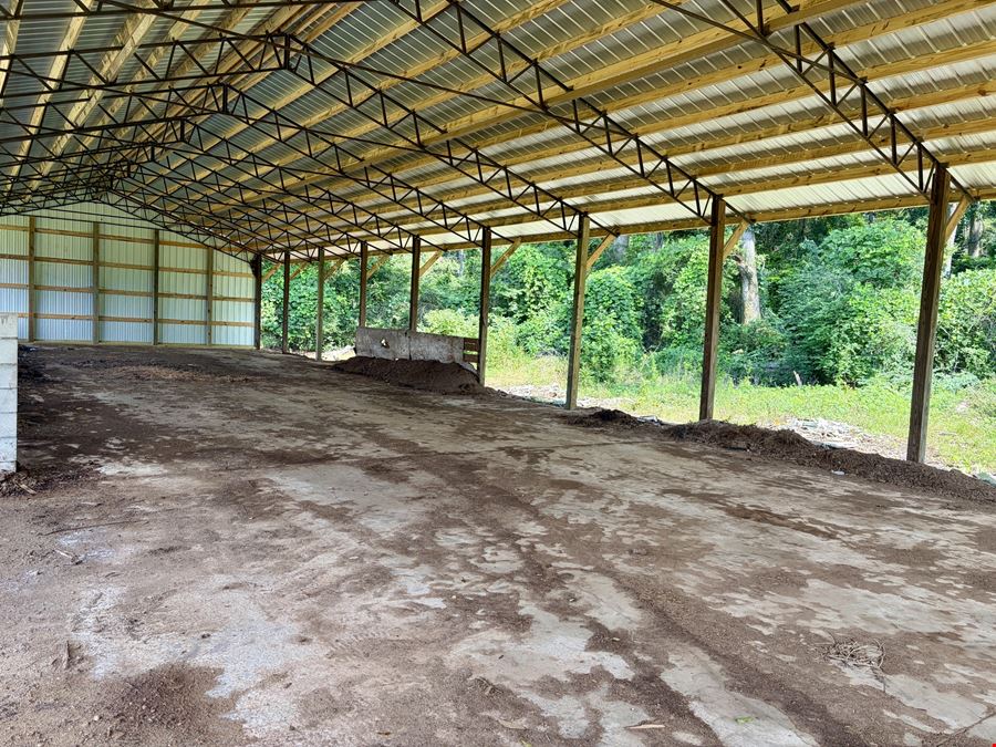 South Butler Springs Mini Farm