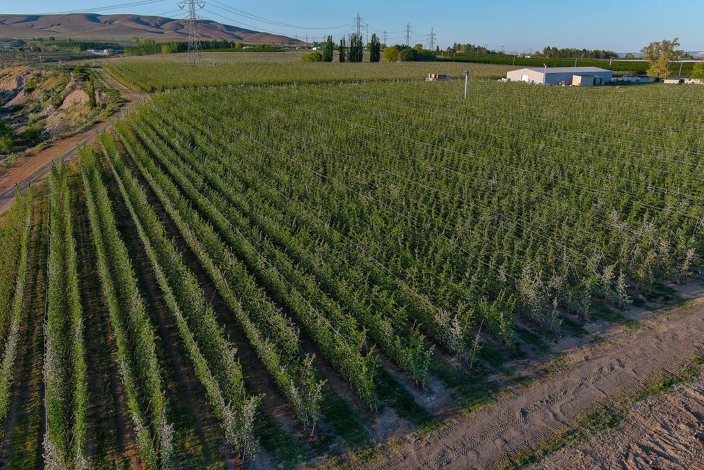 Benton Acord Orchard