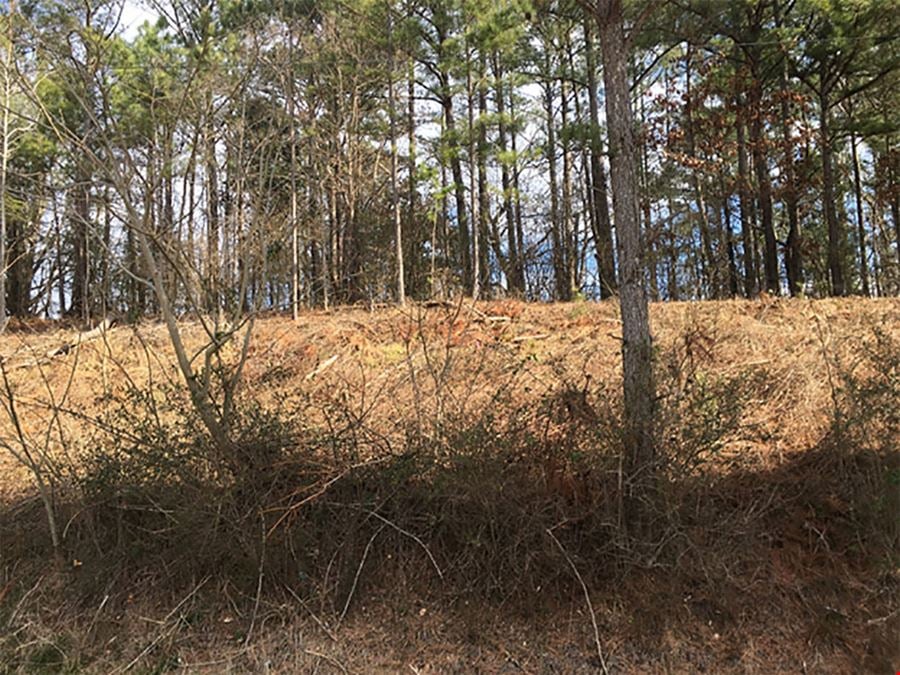 1.82 +/- Acres - Development Opportunity