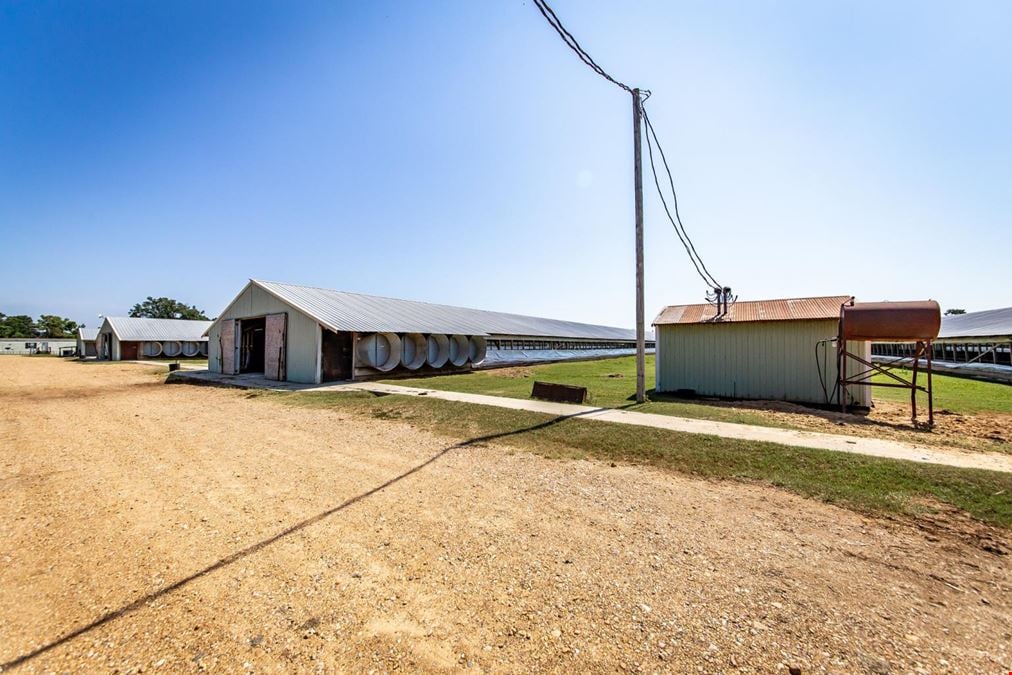 Hope Arkansas Chicken Farm