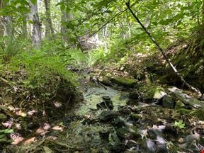 Goochland Land