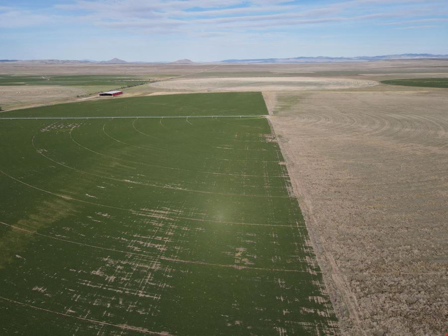 White Sage Farm