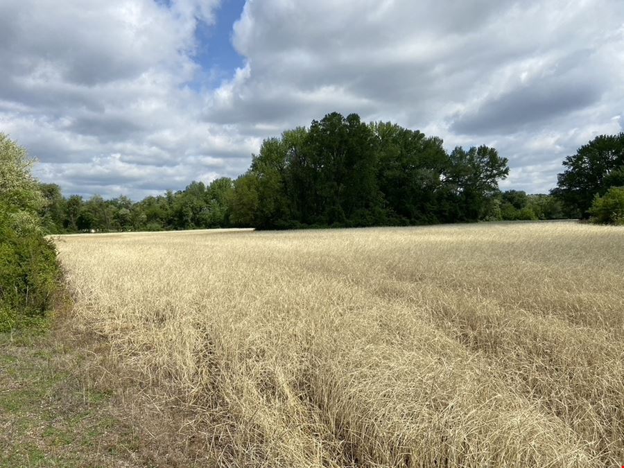 16 CONTIGUOUS ACRES in Greenwich, NJ