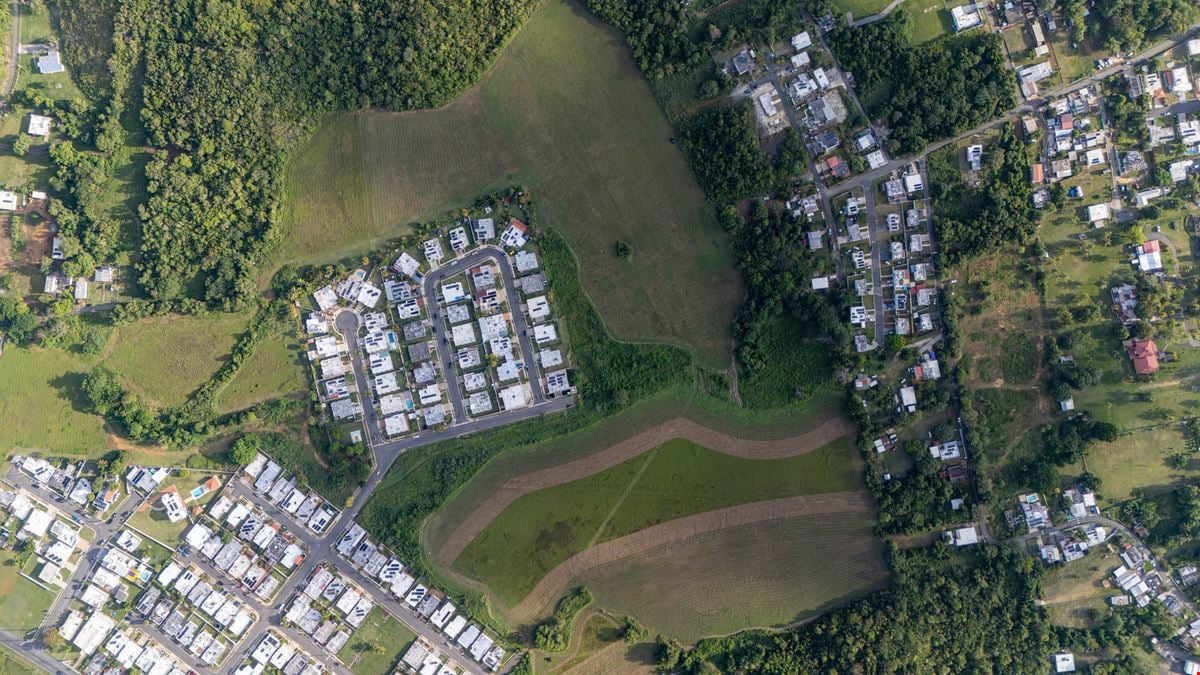 16 Cuerdas Strategically Located @ Camaceyes, Aguadilla FOR SALE