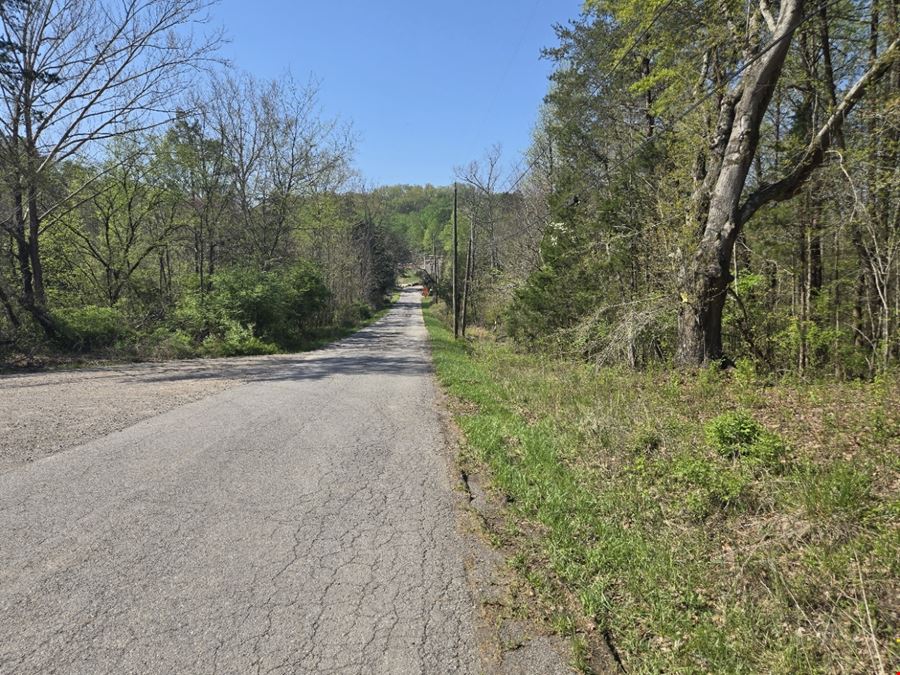 26.84 Acres Available off Chapman Hwy for Single-Family Development