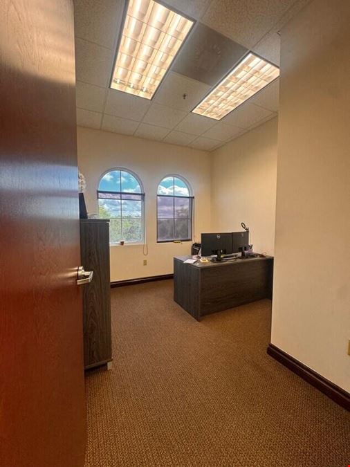 Professional Office