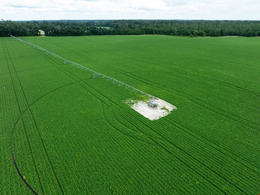 Rollings Farm - Madison County