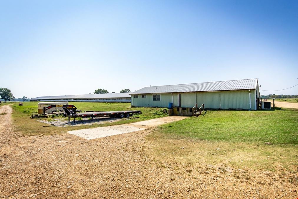 Hope Arkansas Chicken Farm