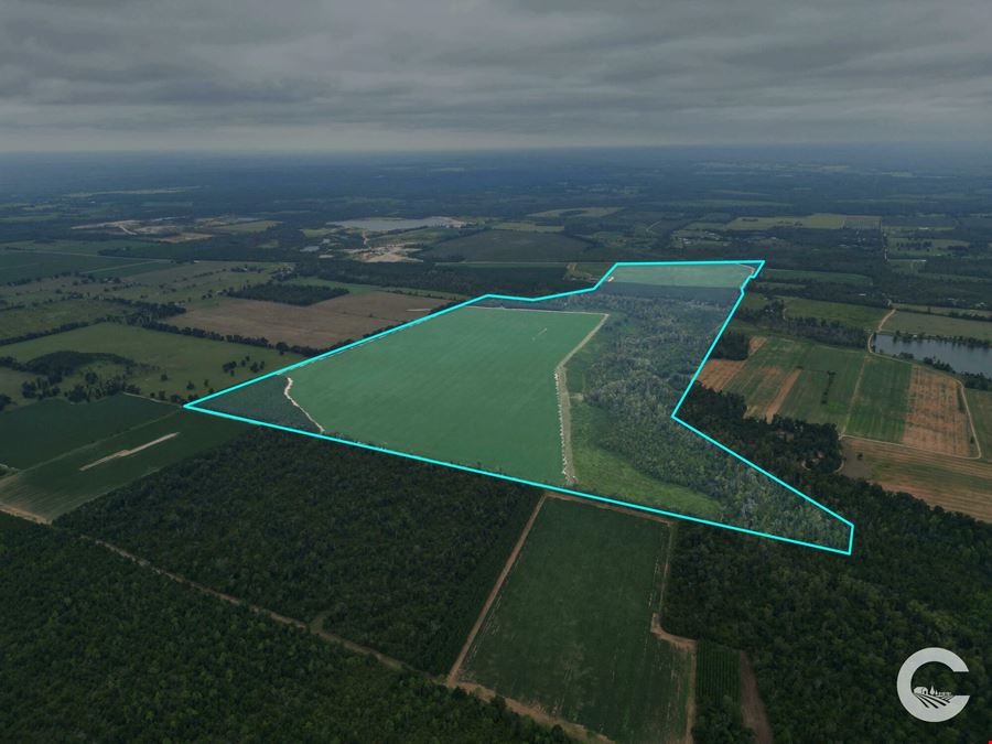 385 +/- Acre Rocky Creek Tract in Marianna, FL