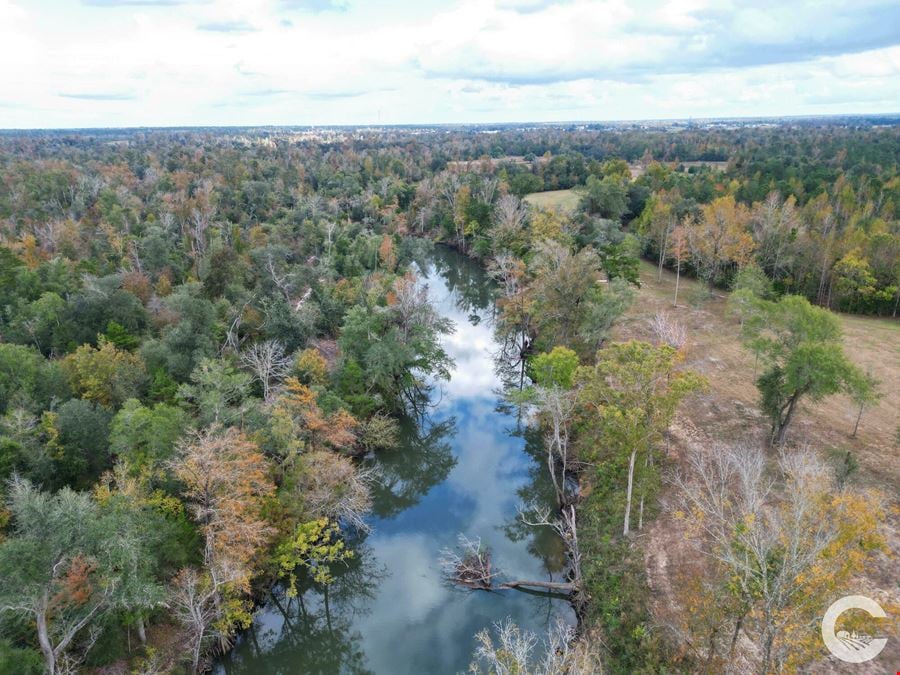 111 Acres with 3,200 Feet of Chipola River Frontage in Marianna, FL