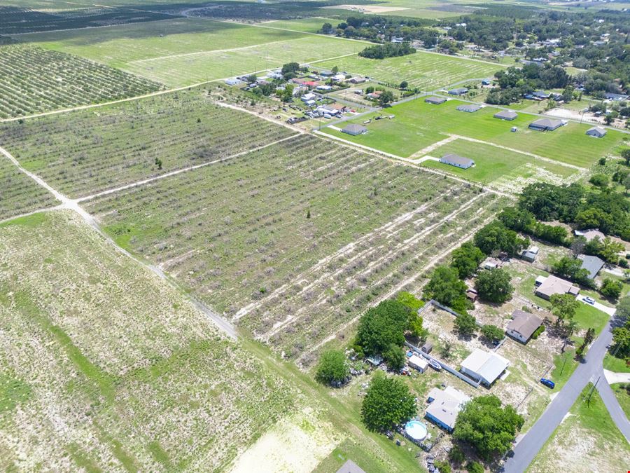 Babson Park Transitional Land