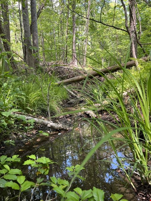 Goochland Land