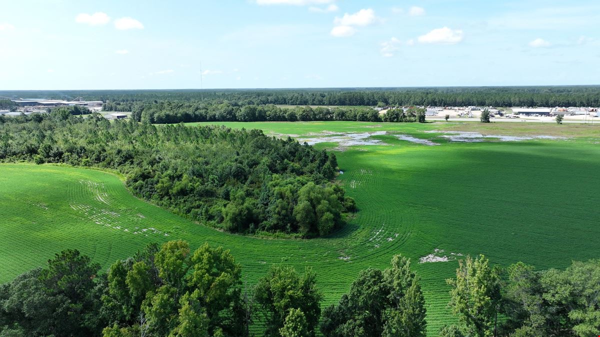 214 acres of Development Land in Hazlehurst, GA