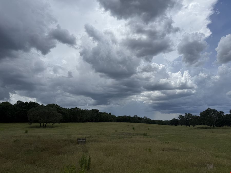 29± Acre Marion County Ranchette