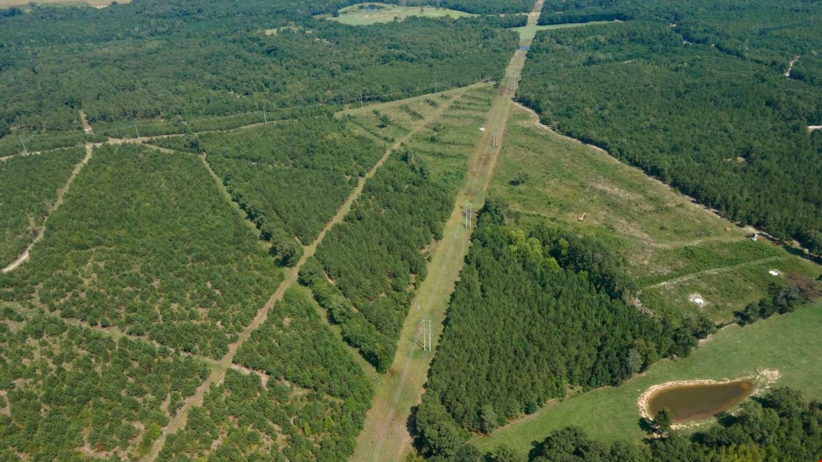 ±34 Acres | Salley, SC