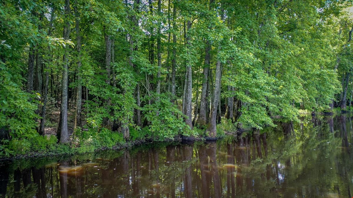 Ouachita River Private Hunting & Fishing Retreat