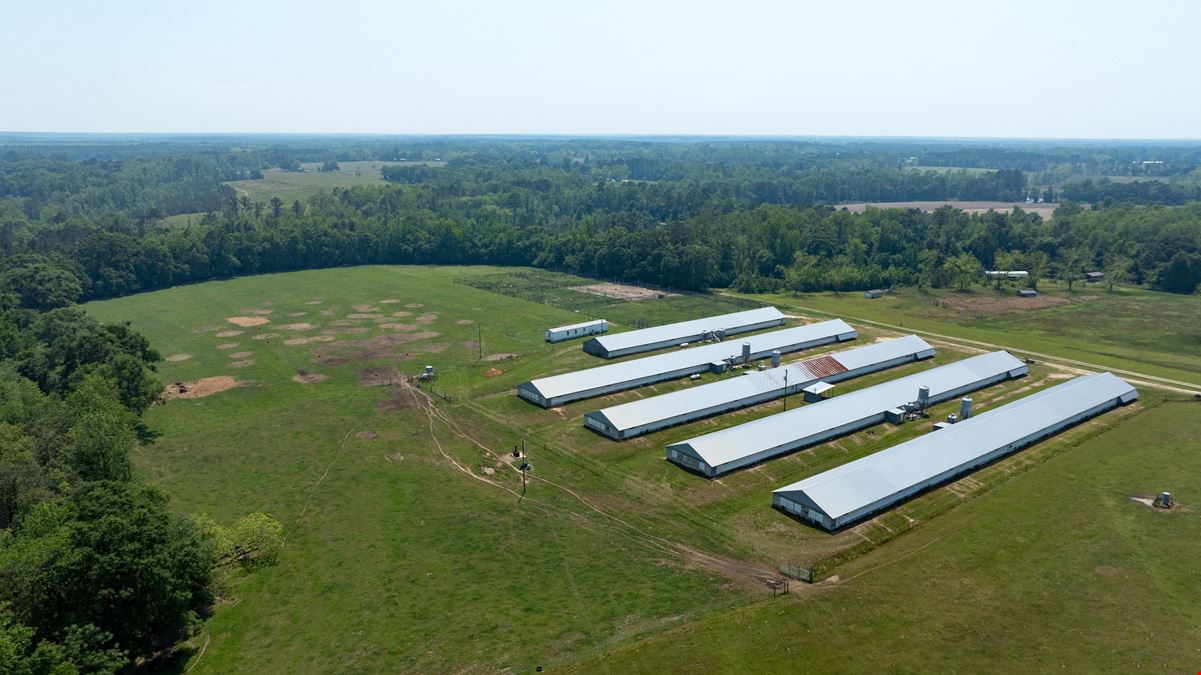 Tired Creek Chicken House and Game Farm