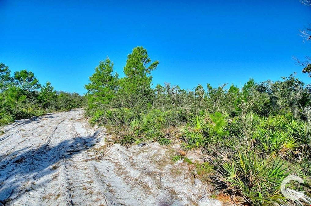 6.34 Acre Residential Homesite in Frostproof, FL