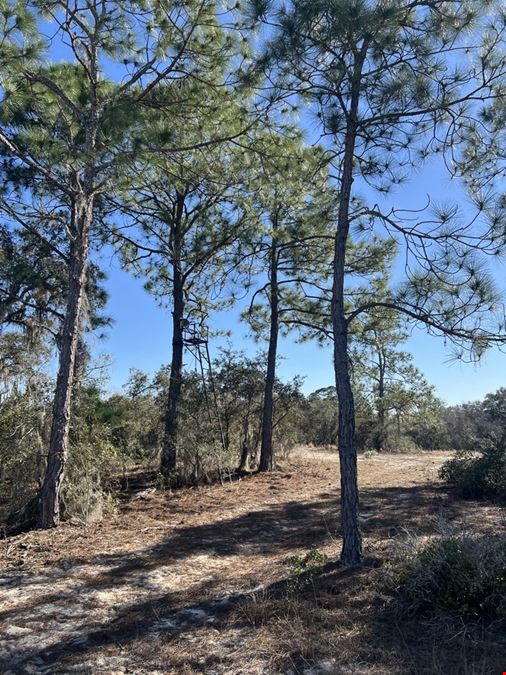 Haines City Recreational/Transitional Land
