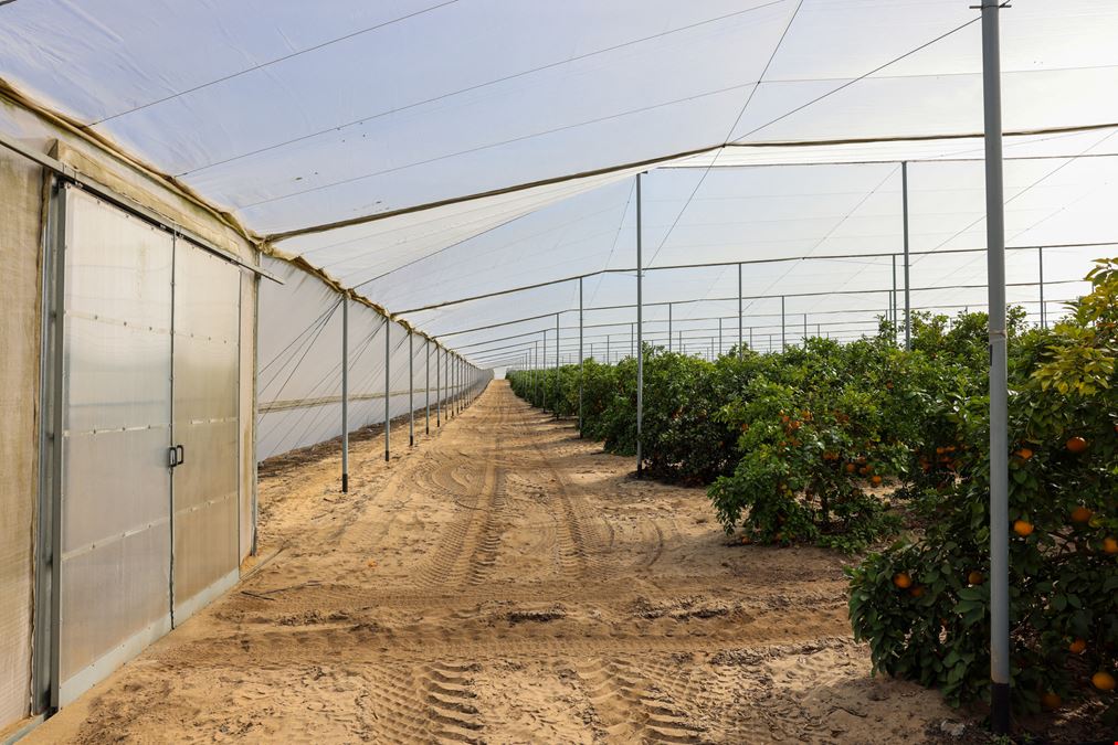 Florida Rubies Agricultural Investment Property