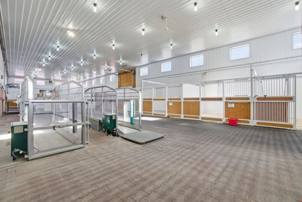 World-Class Equestrian in Central Alberta (Canada)