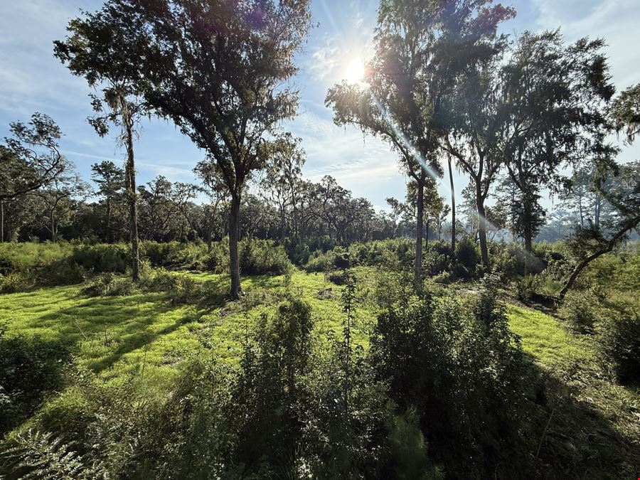 59+/- Acres Horse Country