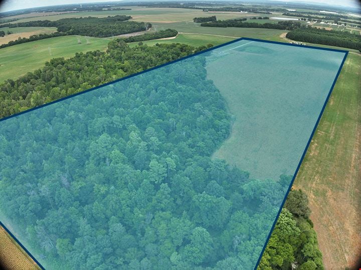 Prime Residential/Commercial Development Land