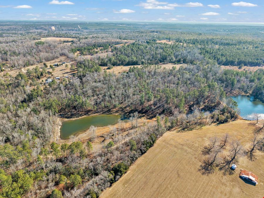 221 Acres | 3.14 Acre Pond | Hephzibah, GA