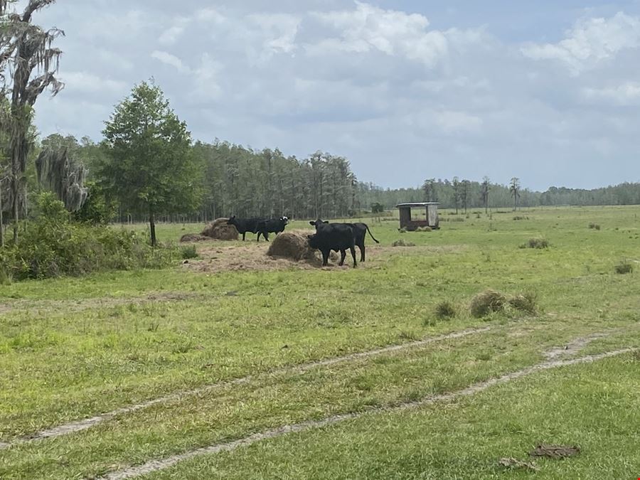 JEH Ranch