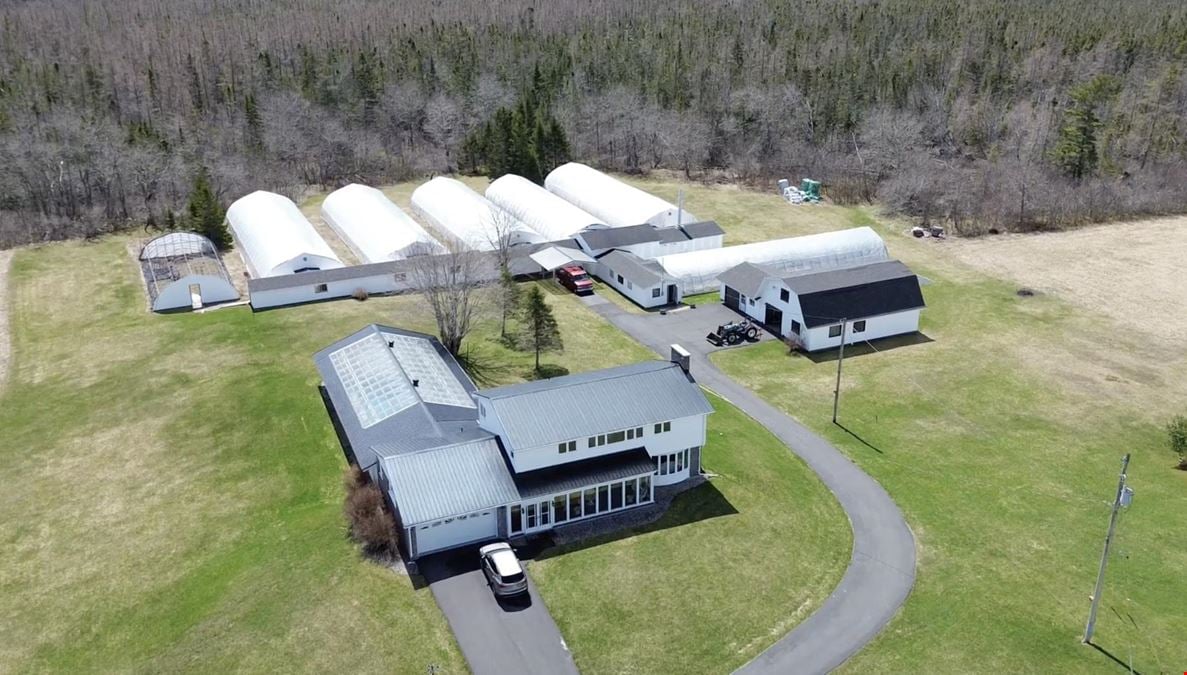 Greenhouse Farm For Sale