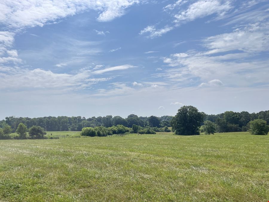 Moffitt 123 Acre Development Tract