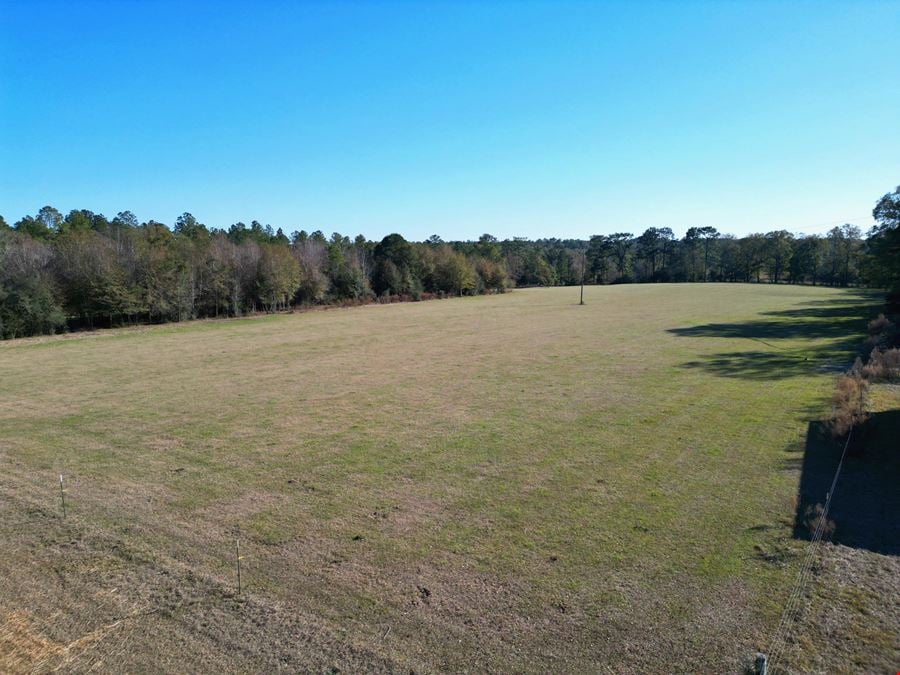 Secluded 240-Acre Cattle Farm in NE Holmes County, FL with Creek, Hunting Opportunities & Nearby Amenities