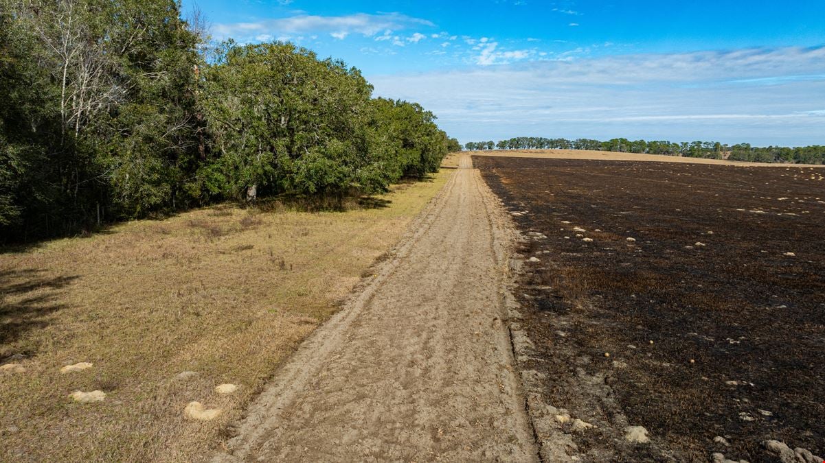 600 Acre Marion County Farm