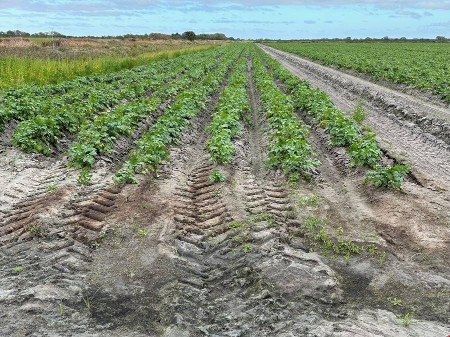 Hyatt Farms at Lake Kissimmee 1,660 +/- Acres
