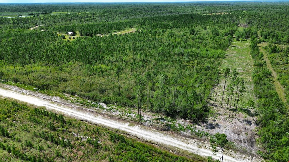 Bay County Acreage