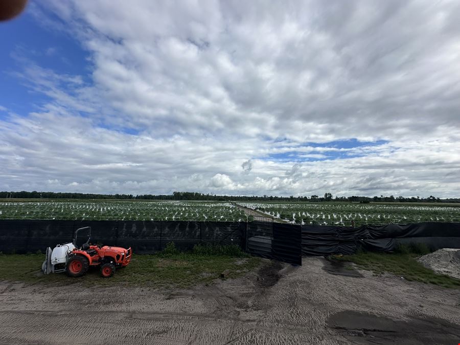 Turner - Former Operating Outdoor Cultivation